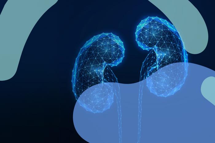 How can we better protect a transplanted kidney?