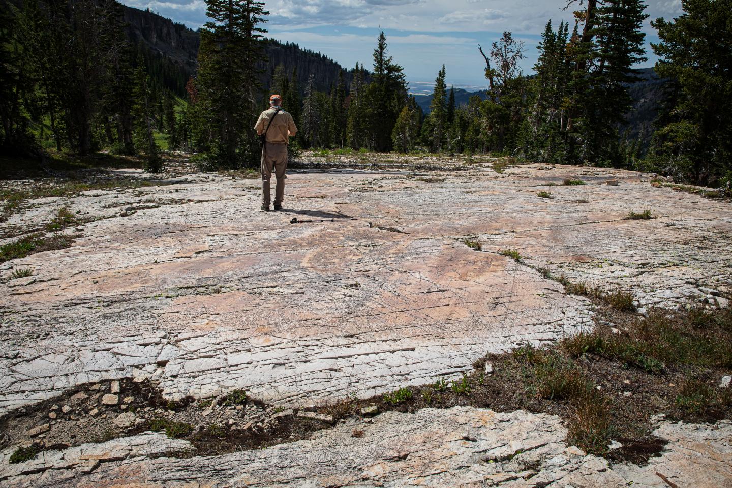 Fracture Outcrop
