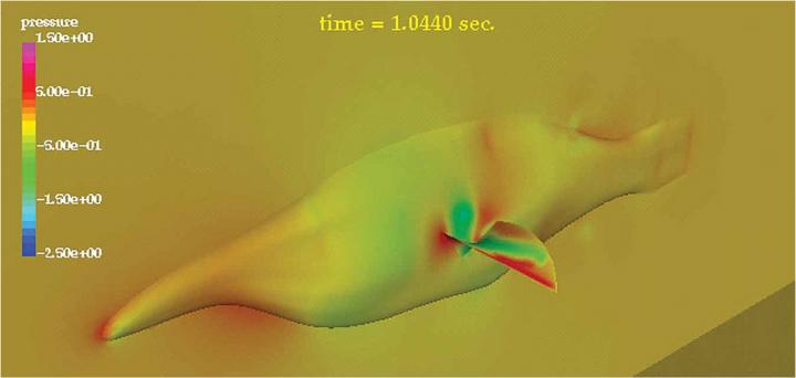 Wrasse-inspired Agile Near-shore Deformable-fin Automaton (WANDA) (1 of 2)