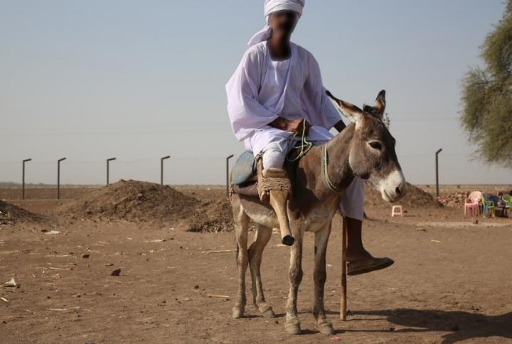 A Holistic Approach for Mycetoma Management