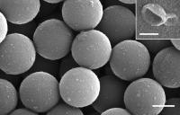 Nanopatterned "Lab-On-A-Chip" Noninvasively Detects Early and Advanced Breast Cancer (2 of 4)