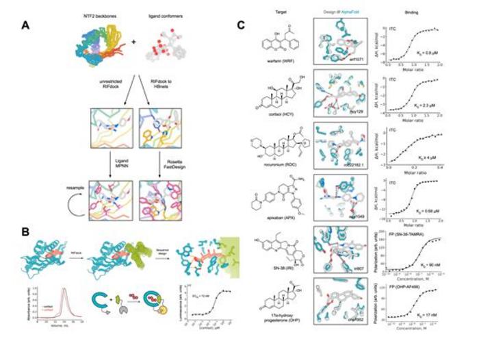 InnoCORE Research Group Successfully Achieves AI Protein Design with Nobel Laureate David Baker​