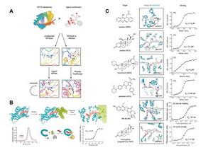 InnoCORE Research Group Successfully Achieves AI Protein Design with Nobel Laureate David Baker​