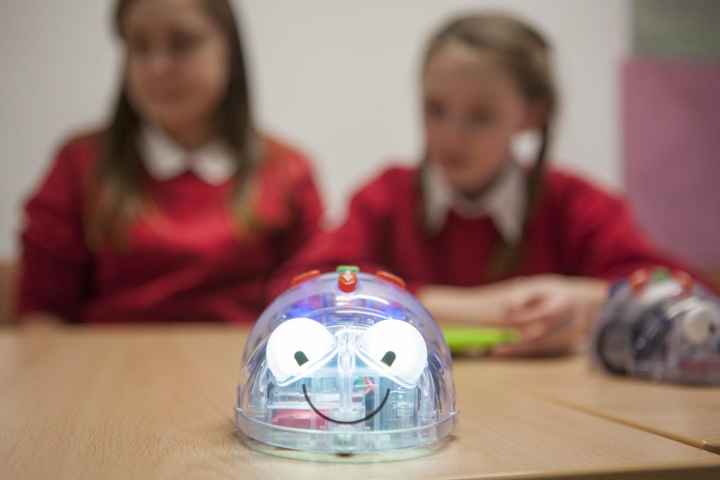 Robots in Education