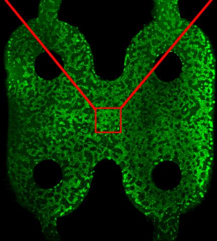 3-D Test B