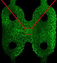 3-D Test B