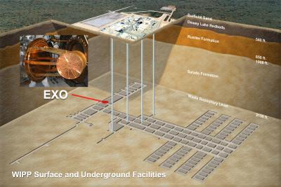 The Enriched Xenon Observatory 200