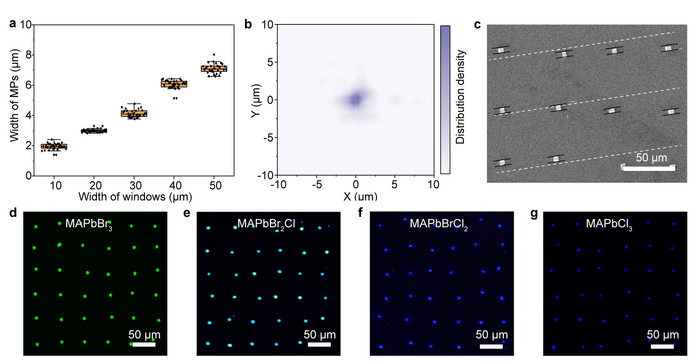 Demonstration of the controlled growth of perovskite single crystal array.
