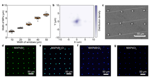 Demonstration of the controlled growth of perovskite single crystal array.