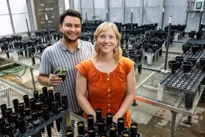 Illinois researchers in the greenhouse