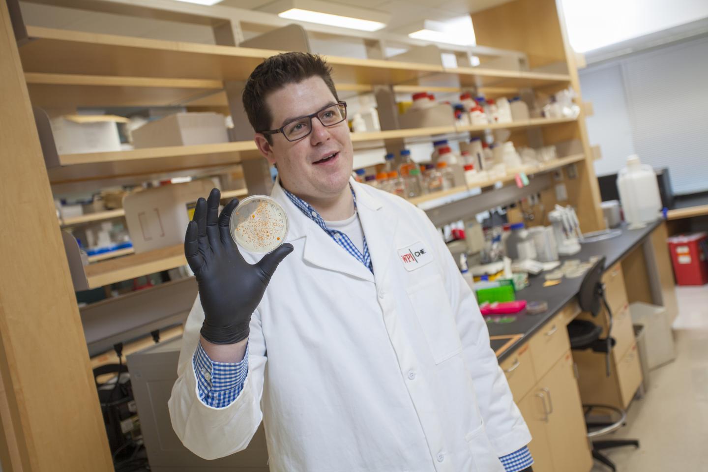 Eric Young, Worcester Polytechnic Institute