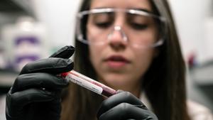 Red Blood Cells Act as 'Glucose Sink' at High Altitude