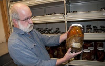 Phil Hastings with Specimens