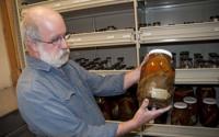 Phil Hastings with Specimens