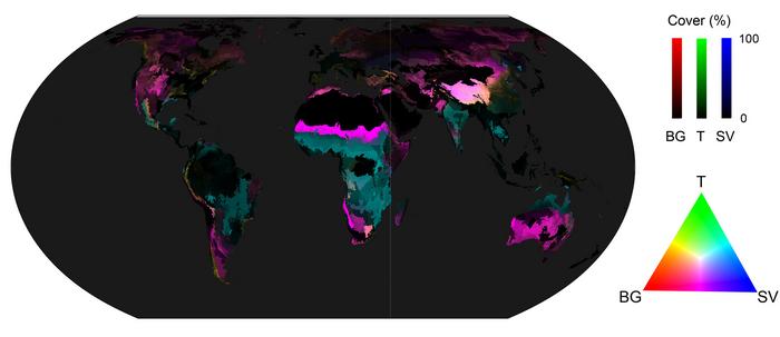 Alternative natural vegetation cover potentials.