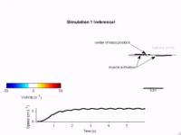 Simulated Lamprey Swimming