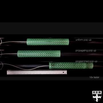 Kirigami Snake Video