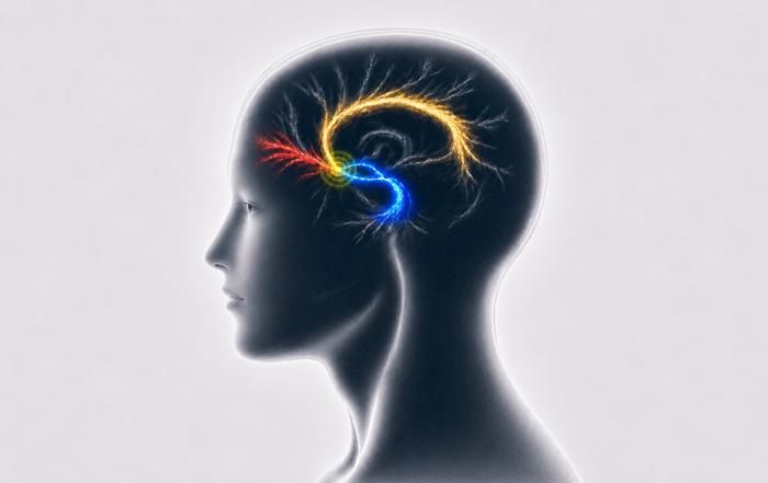 AJP study