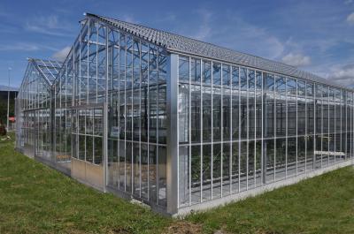 Greenhouse