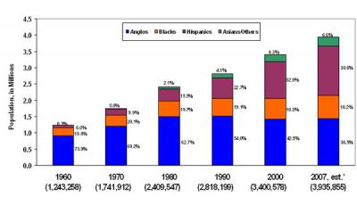 Houston Demographic Breakdown