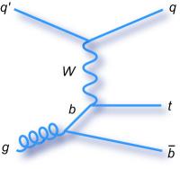 Single Top Quark