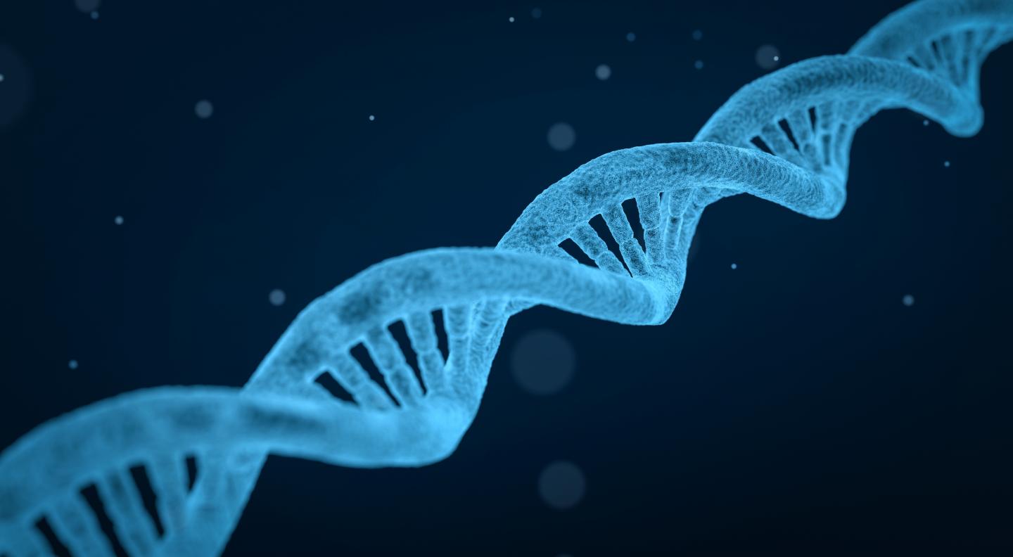 Gene Editing with CRISPR/Cas9