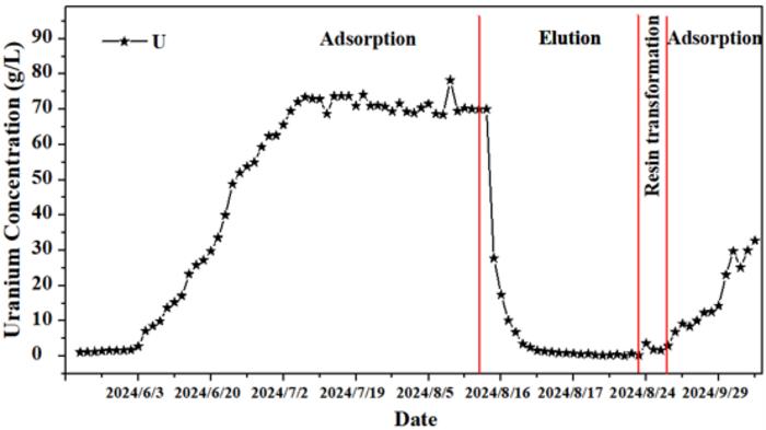 Field demonstration results showing uranium concentration profiles across adsorption, elution, and transformation cycles at a commercial uranium ISR mine site.