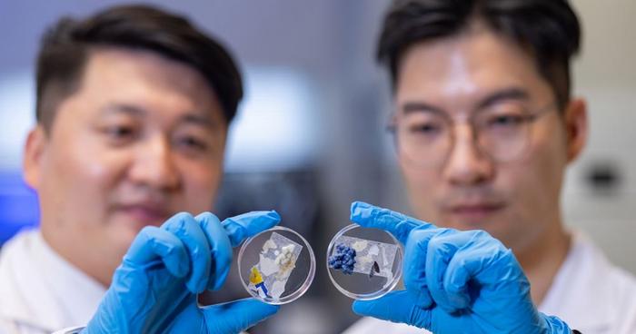 PolyU research unveils hidden microbial threats to ecosystem caused by plastic waste, urging global collaboration to track harmful microbiomes