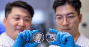 PolyU research unveils hidden microbial threats to ecosystem caused by plastic waste, urging global collaboration to track harmful microbiomes