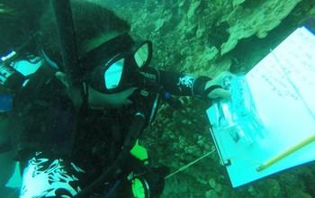 Scientists Study Marine Sponges In The Waters Off Guam