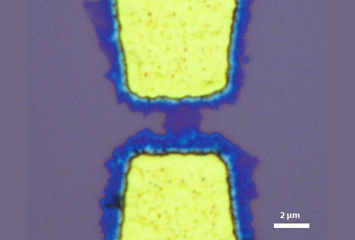 Scanning electron microscopy image