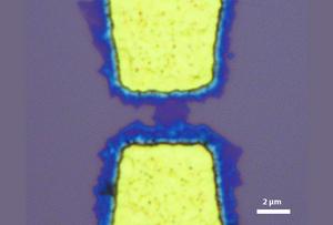 Scanning electron microscopy image