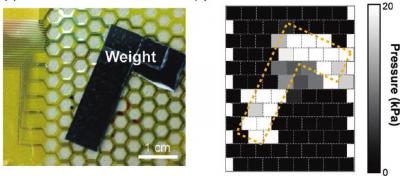 E Skin with L Weight