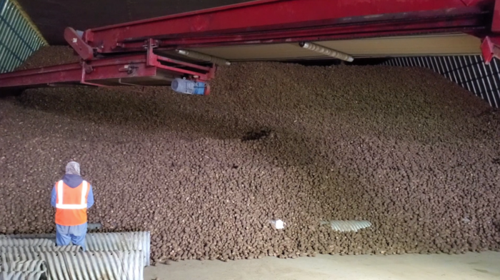 Potatoes
