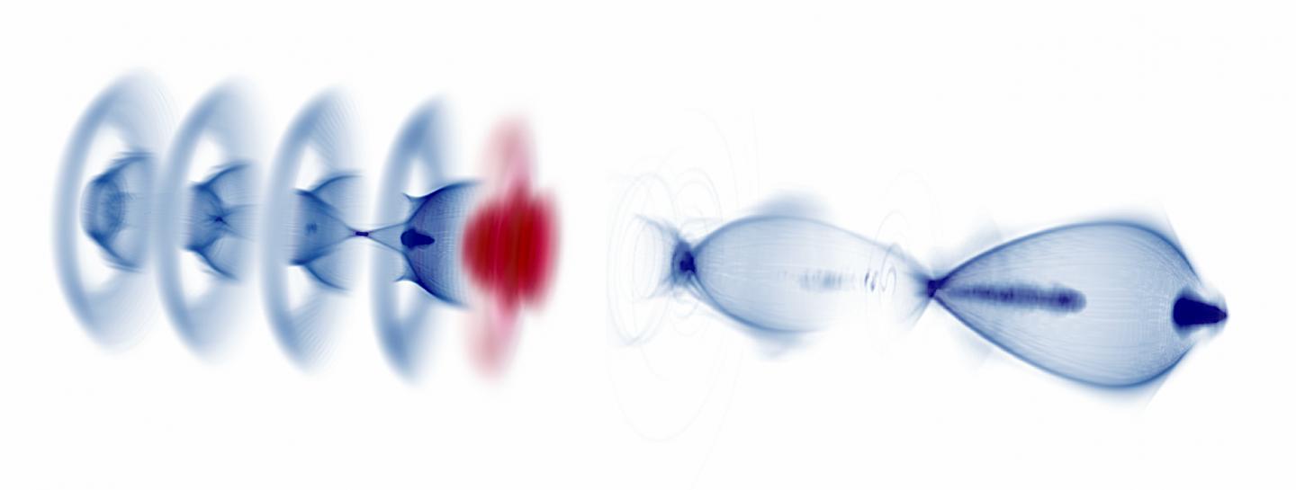 Numerical rendering of the hybrid plasma accelerator.