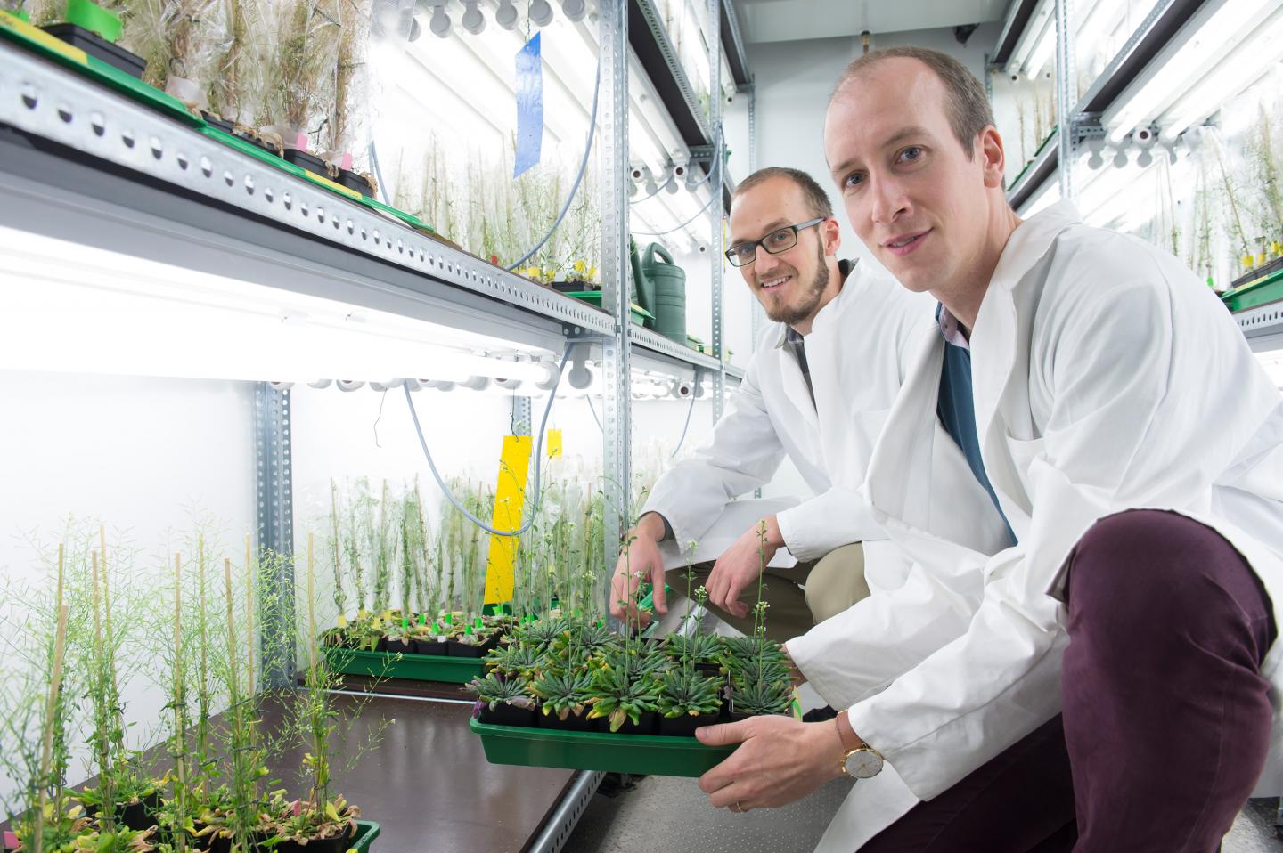 Dr. Markus Schwarzlaender and Dr. Stephan Wagner, University of Bonn
