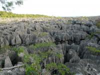 Ankarana National Park