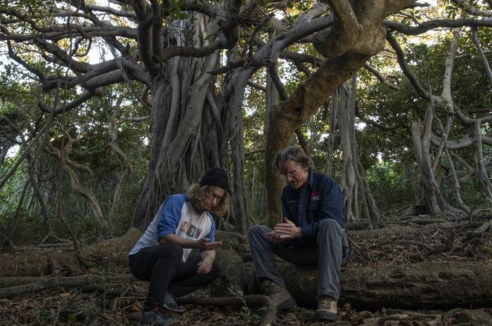 Maxim Adams an Nicholas Carlile under a banyan tree on Lord Howe Island