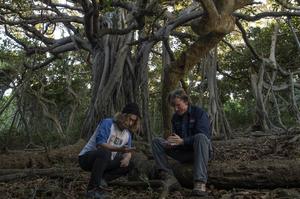 Maxim Adams an Nicholas Carlile under a banyan tree on Lord Howe Island