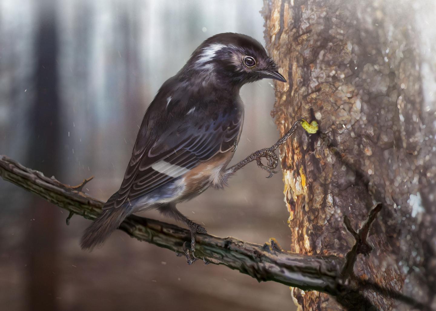 Reconstruction of Elektorornis chenguangi
