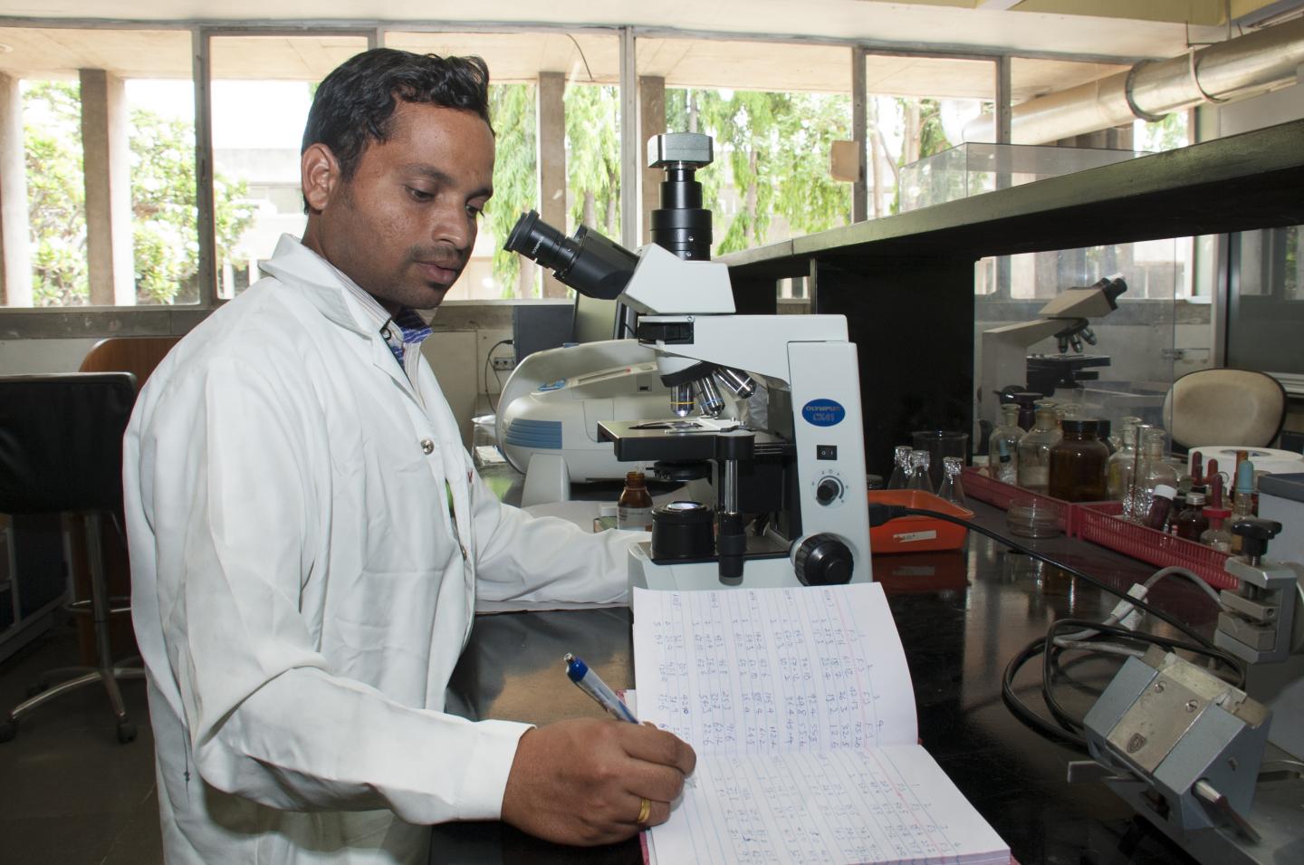 Pollen Fertility and Sterility Studies