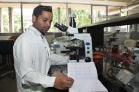 Pollen Fertility and Sterility Studies