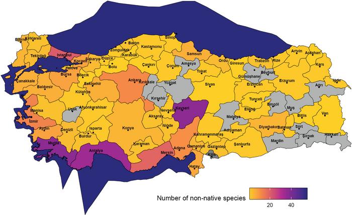 Number of established species in each administrative area of Türkiye based on GBIF