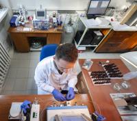 Catalytic Hydrotreatment
