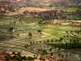 International Researchers Study Land Use and Land Cover
