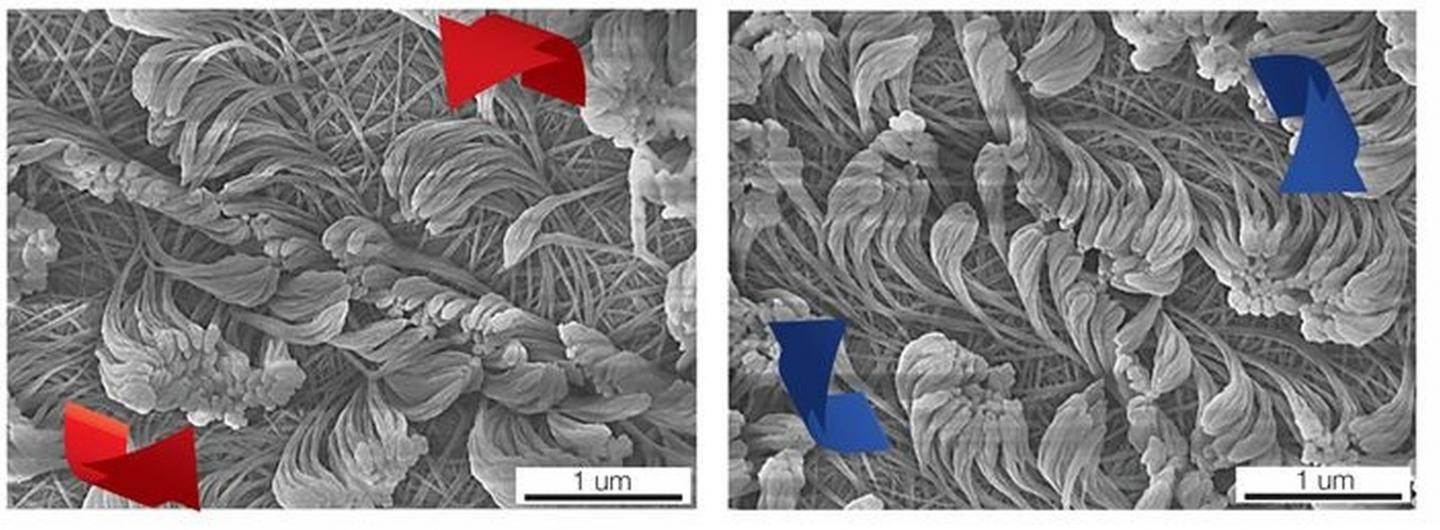 Nanofibers with Different Directions of Rotation