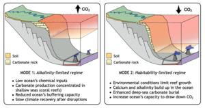Two modes of Earth's climate carbon cycle