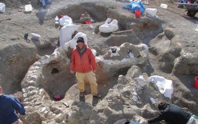 Scientist with Dinosaur Skeleton