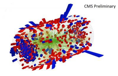 Collision Showing Collective Flow Behavior