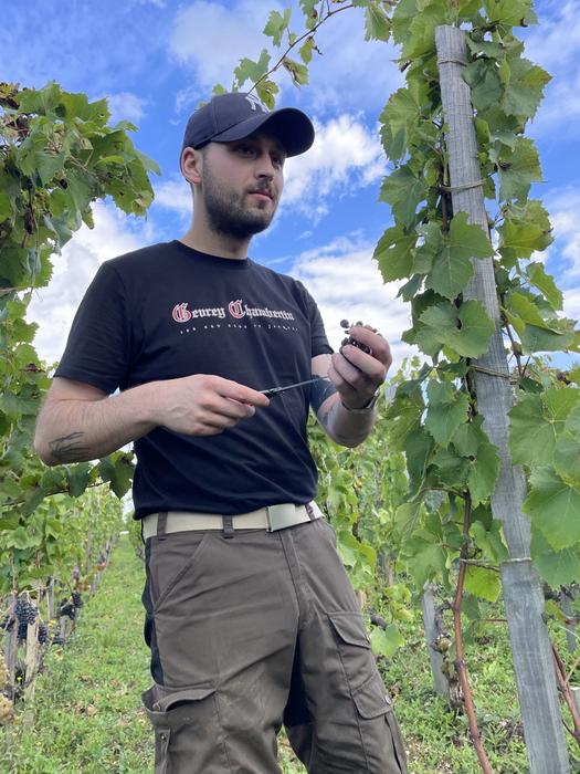 Bright people know more about wine